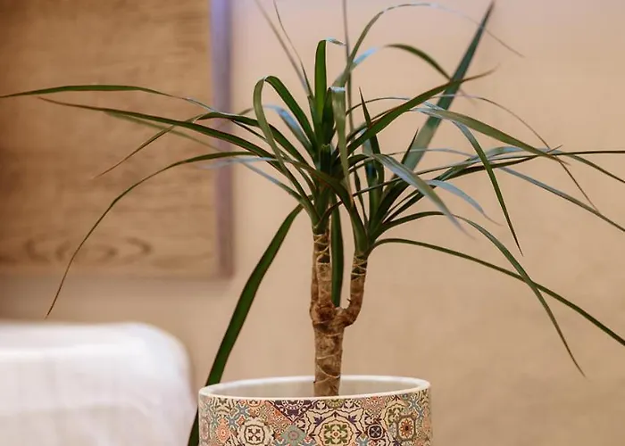 The Clock House Apartamento